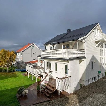 Tromso'S Best Location? City & Nature 5 Mins Away. エクステリア 写真